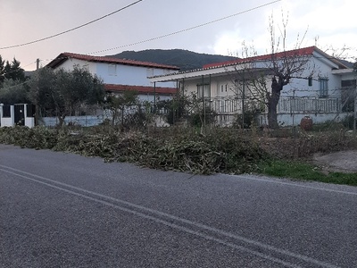 ΚΛΑΔΙΑ