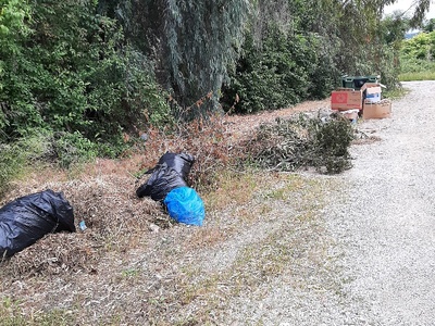 ΠΕΥΚΙ  ΝΕΑ ΧΩΜΑΤΕΡΗ