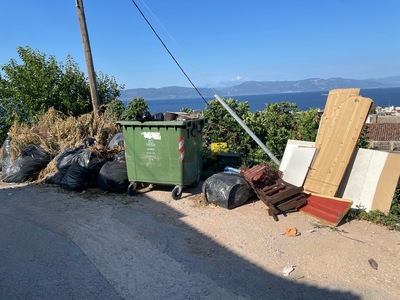 μπάζα, κλαδιά