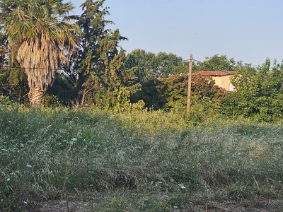 Ακαθάριστα οικόπεδα