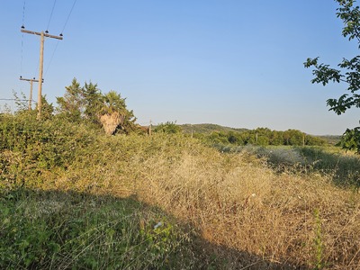 Ακαθάριστα οικόπεδα