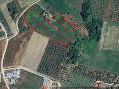 Ακαθάριστα οικόπεδα