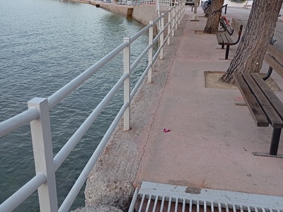 σάπια κάγκελα στο Πευκί