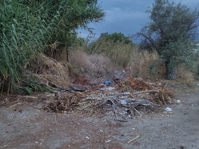 Κλαριά & Σκουπίδια