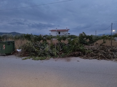 Κλαριά