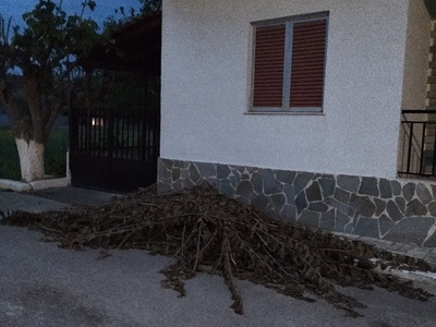 Κλαριά