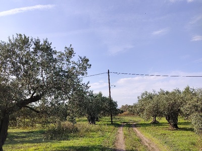 ΚΑΜΜΕΝΟΣ ΛΑΜΠΤΗΡΑΣ ΚΑΝΑΤΑΔΙΚΑ
