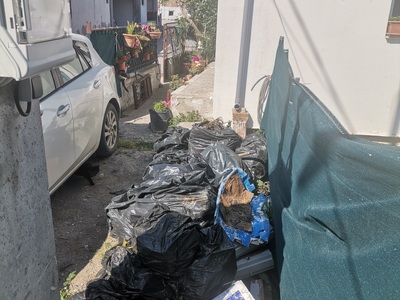 Σακούλες με χόρτα
