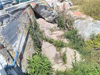 Σκουπίδια και χόρτα Λιμάνι Πευκί