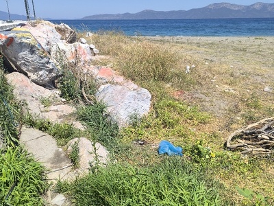 Σκουπίδια και χόρτα Λιμάνι Πευκί