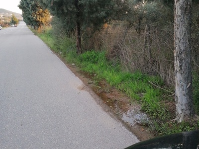 Διαρροή νερού Αιδηψός 
