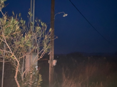 Καμένες λάμπες Πλατανιάς